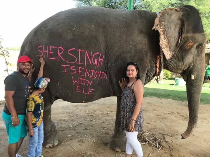 Jaipur: Elephant Interaction Tour - Entering Jaipur Elephant Sanctuary the right way