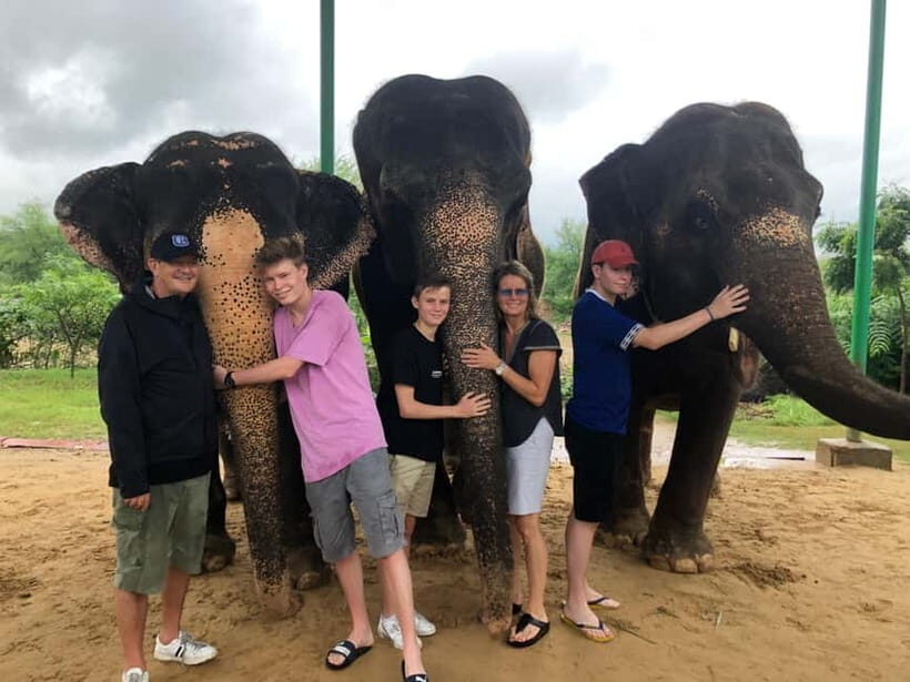 Jaipur: Elephant Interaction Tour - Mud bath fun that also makes skin sense