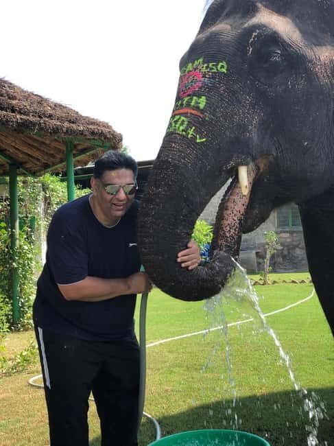 Jaipur: Elephant Interaction Tour - Painting with natural colors: a surprisingly thoughtful activity