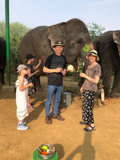 Jaipur: Elephant Interaction Tour - Elephant washing and shower: the safe version of getting soaked