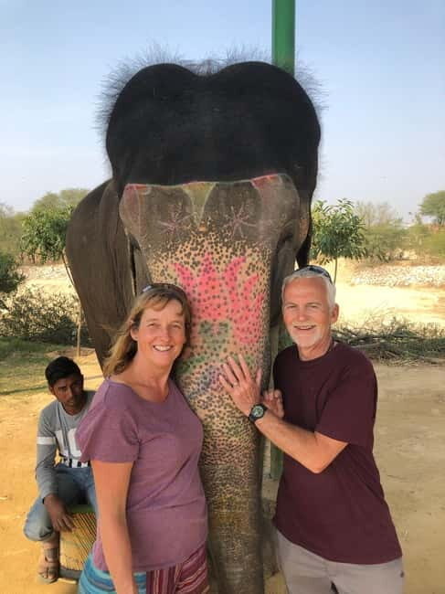 Jaipur: Elephant Interaction Tour - Pickup from Jaipur: convenient, private, and no stress
