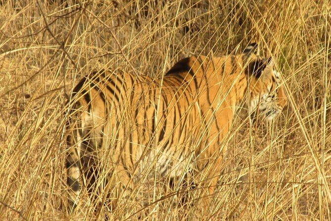 Jaipur Full Day Attractions Tour by AC Car with Local Guide - City Palace and Jantar Mantar: royal life and scientific design