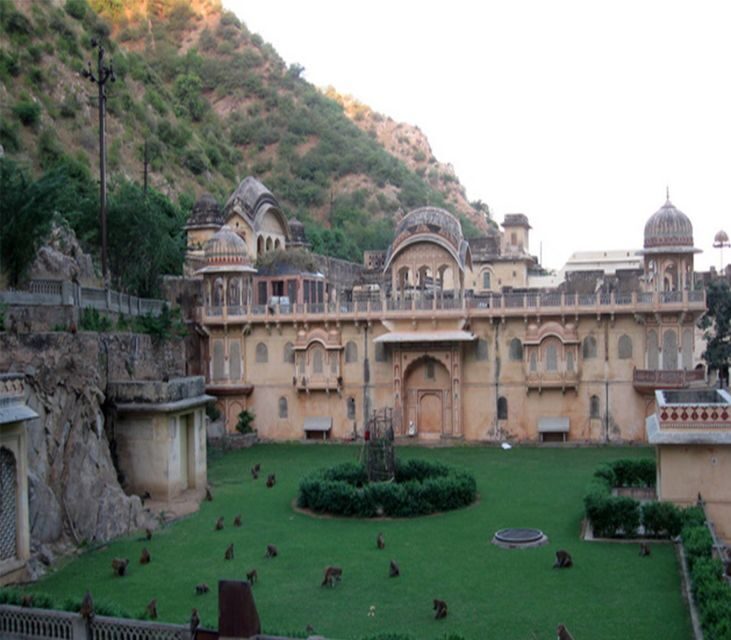 Jaipur: Full-Day City Tour with Camel Ride and Monkey Temple - Amber Fort: where protective architecture turns into a whole experience