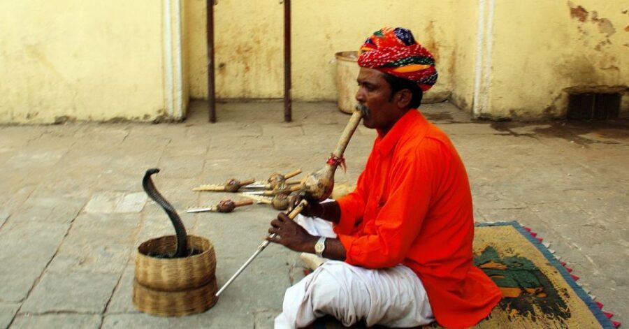 Jaipur: Full-Day Private City Tour by Car with Guide - A 5-Hour Private Jaipur Plan That Doesn’t Feel Like a Chase