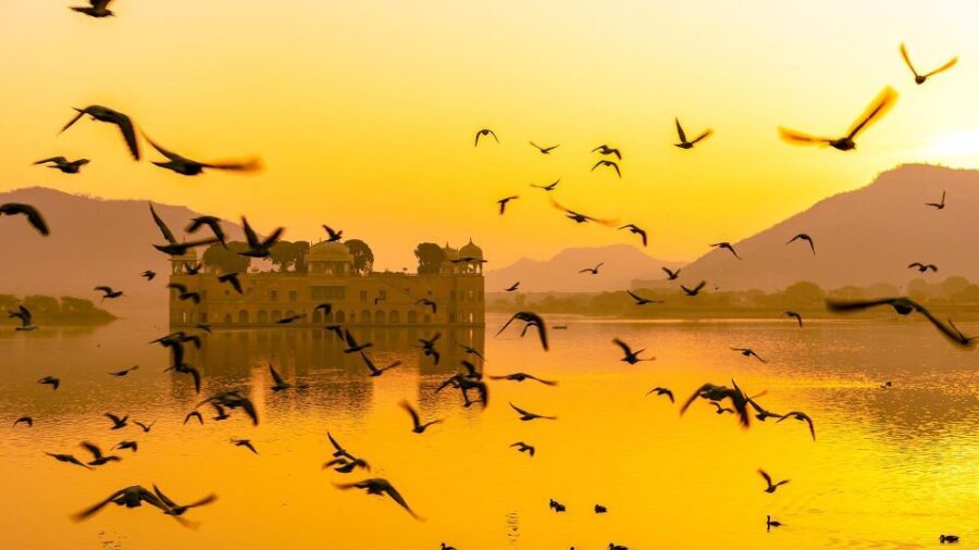 Jaipur: Full-Day Private Sightseeing Tour by Tuk Tuk - Panna Meena ka Kund: The Stepwell Break That Changes the Mood