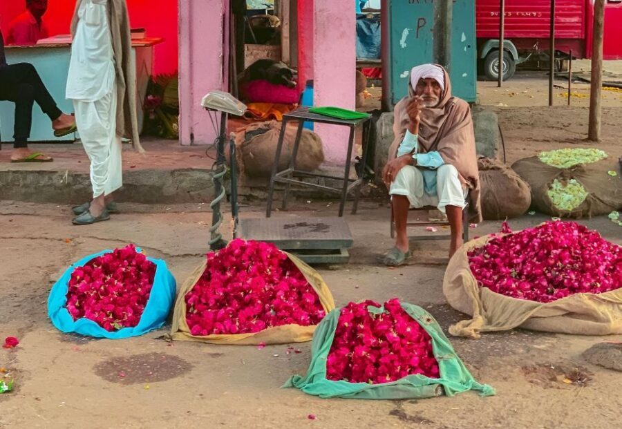 Jaipur: Half-Day Guided Sightseeing Tour with Flower Market - Key things to know before you go