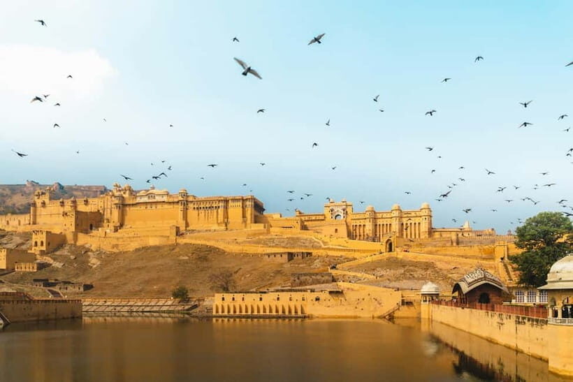 Jaipur: Half or Full-Day Sightseeing Tour with Flower Market - Monkey Temple timing: a hilltop start or end with views and cheeky monkeys
