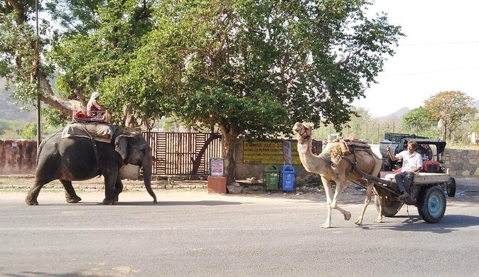 Jaipur Heritage Walking Tour - Local life, Havelis and Temples - Stop 2: City Palace Lanes, Old Havelis, and Courtyards
