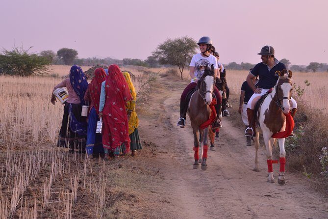 Jaipur Horse Riding Adventure - The itinerary in real life: walk, trot, canter, then village farmlands