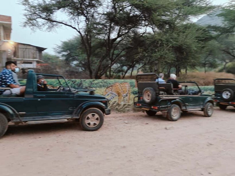 Jaipur: Jhalana Amagarh Leopard Reserve 4×4 Jeep Safari - Leopard odds: how to improve your chances