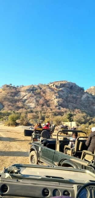 Jaipur: Jhalana Amagarh Leopard Reserve 4×4 Jeep Safari - Price and value: is $60 a good deal?