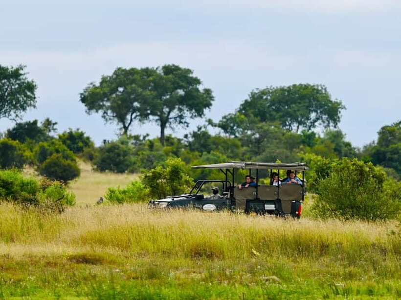 Jaipur: Jhalana Amagarh Leopard Reserve 4×4 Jeep Safari - Getting there without wasting half your day