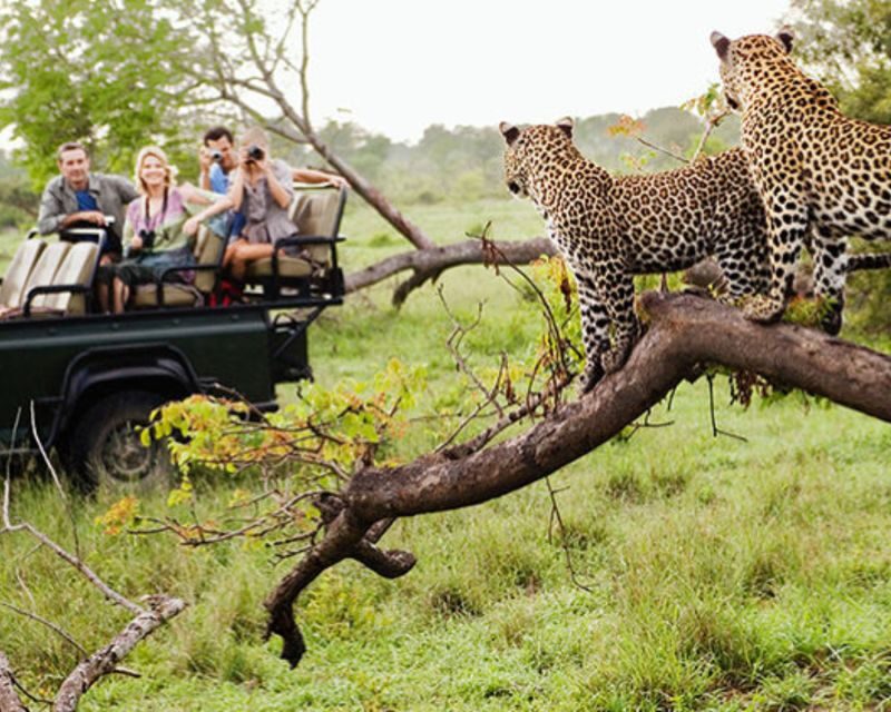 Jaipur: Jhalana/Amargarh Leopard Safari Private Tour - Jhalana safari in a 4x4 Gypsy: what you’re really buying