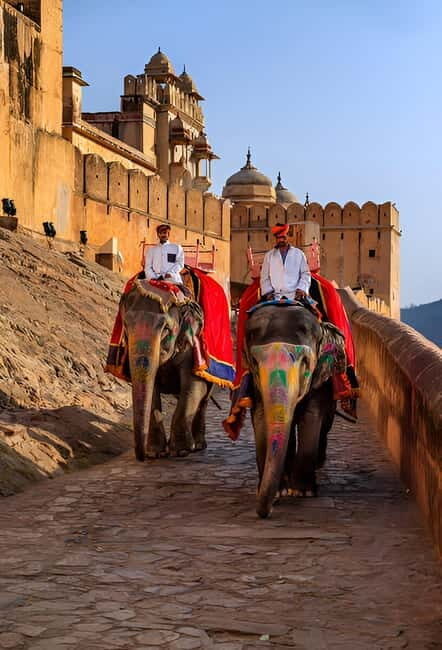 Jaipur: Personalized Full-Day City Tour by Car with Options - Birla Temple and Gaitor Ki Chhatriyan for a Calmer Pace