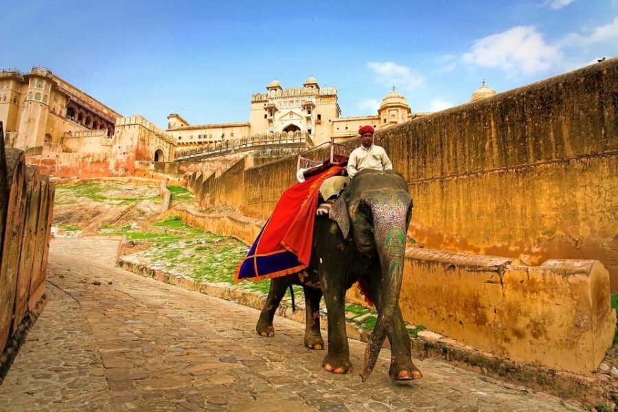 Jaipur: Private Full-Day City Tour by Tuk-Tuk or Car - The day starts where locals are, at the Jaipur Flower Market