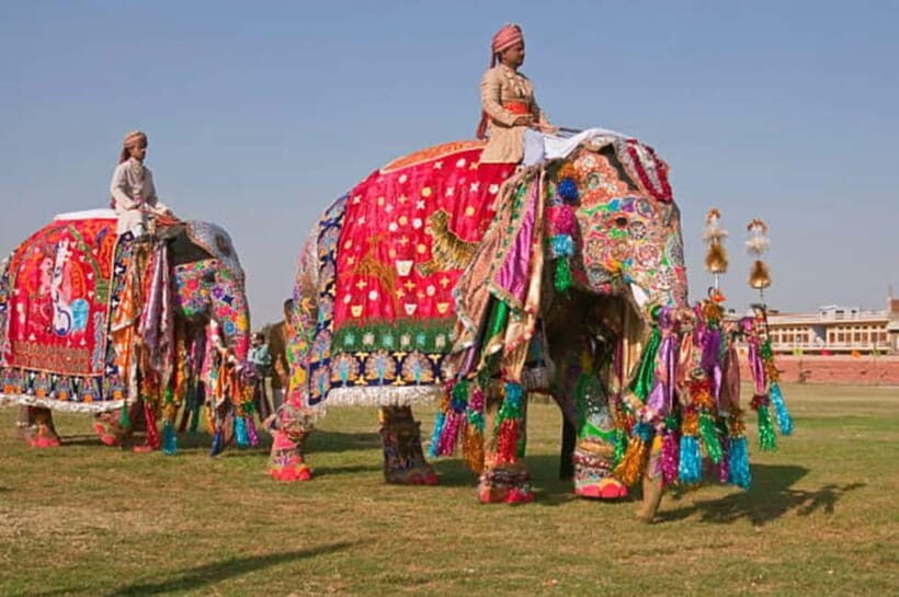 Jaipur: Private Full-Day City Tour with Car and Guide - Hawa Mahal and the photo-first rhythm of the Pink City