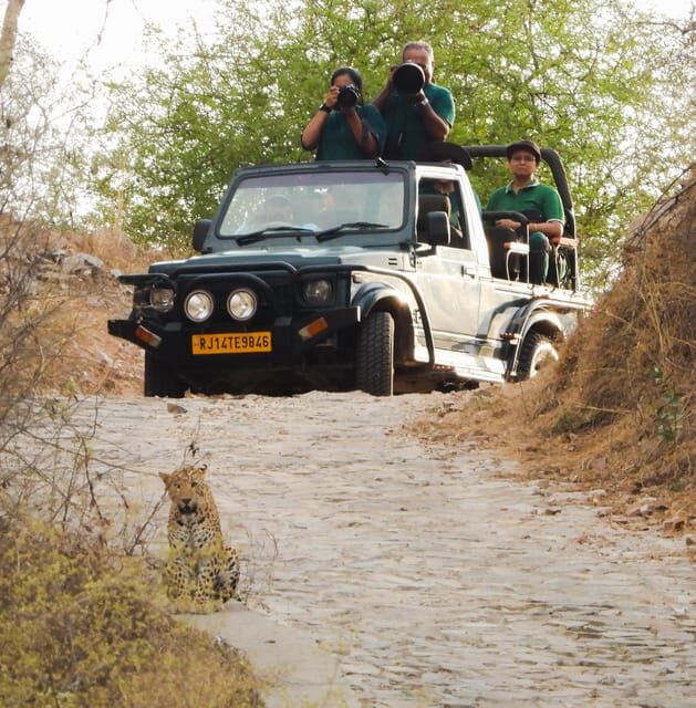 Jaipur: Private Jhalana Leopard Safari Tour - Why the guide makes a difference (Rohit’s leopard coaching)