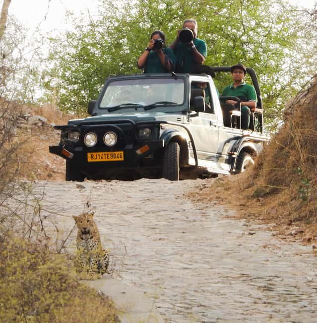 Jaipur: Private Jhalana Leopard Safari Tour - What you might spot: leopards plus the supporting cast