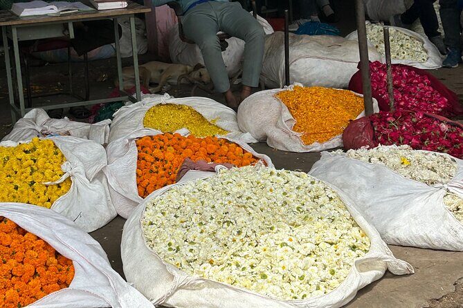 Jaipur: Shopping Tour with Blue Poetry & Printing Workshop & Rugs - A Creative Day in Jaipur: What This Tour Is Really Like