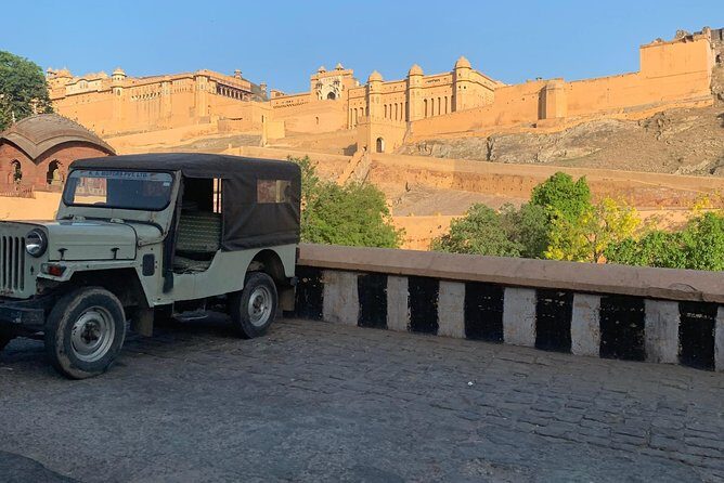 Jaipur Sightseeing By Car, Driver and Guide - Jal Mahal: a photography-friendly break and the optional camel ride