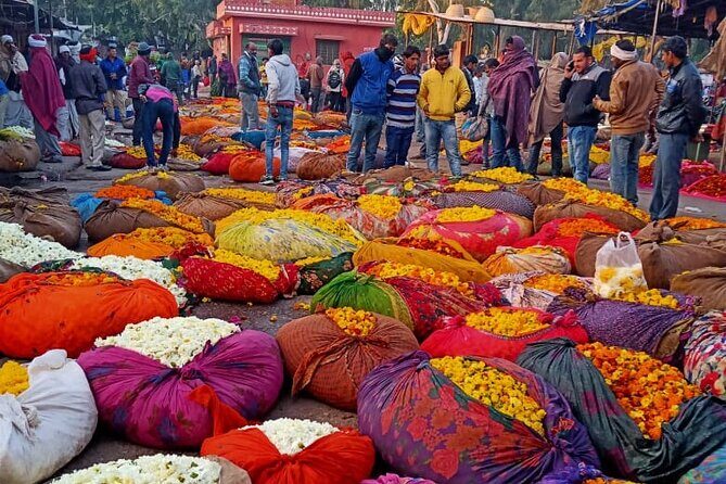 Jaipur Sunrise Tour with Morning Flower Market Walk - Stop 3: Galtaji Temple (Monkey Temple) and the Aravalli Hills