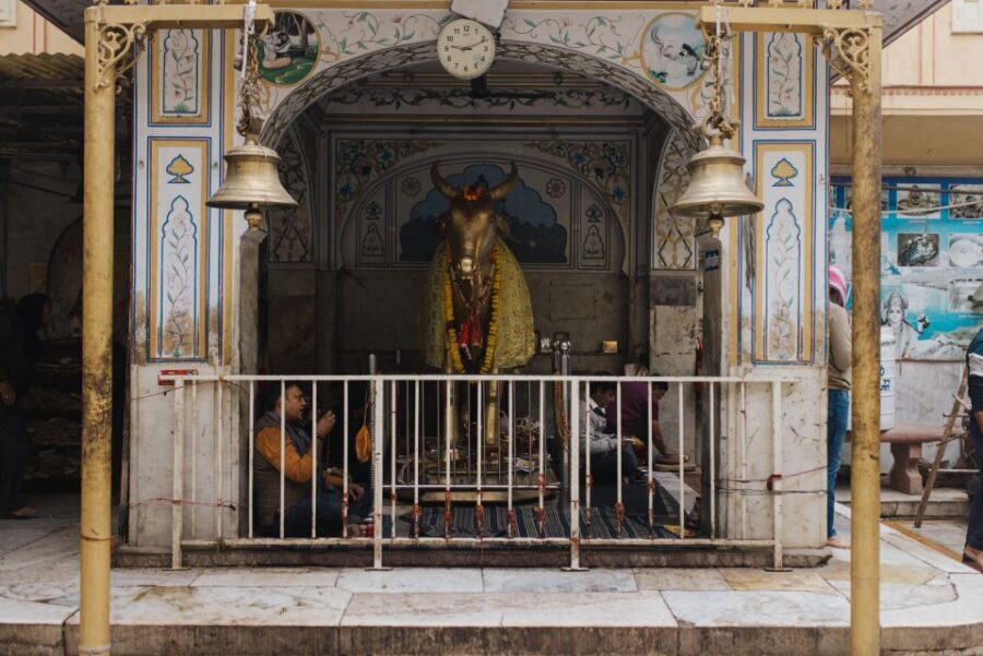Jaipur: Temple Tour - Starting at Tarkeshwar Mahadev: Puja First, Photos Later