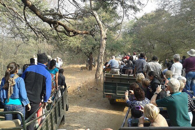 Jaipur to Ranthambore National Park Private One Day Trip - Meet your driver and guide names that have shown up