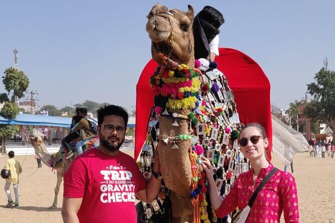 Jaipur Tour By Car & Guide - Private Full Day Sightseeing with Tickets - What the Private Guide Adds (Including Umbrellas and Calm Explanations)