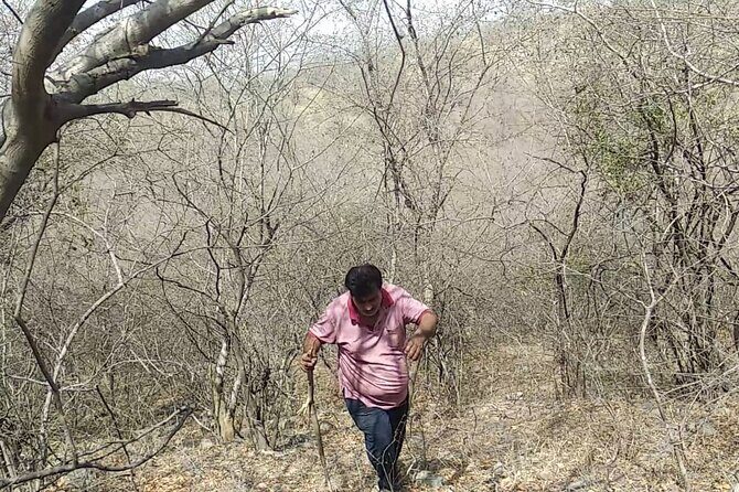 Jaipur Trekking and Hiking Tour with Guide - Price and Value: What $56.74 Covers (and What Doesn’t)