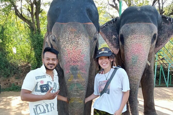 Jaipur Tuktuk Local Sightseeing Day Tour - How the tuk-tuk day works in Jaipur