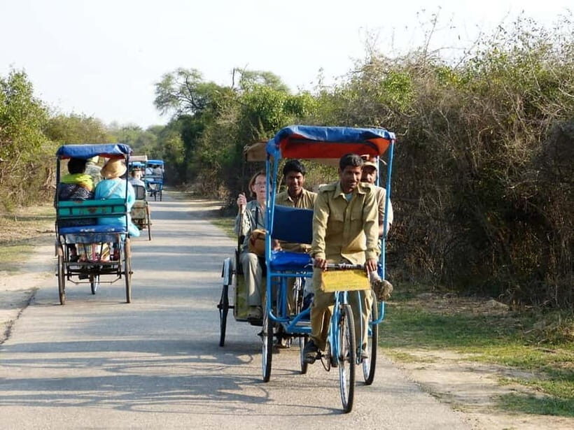 Keoladeo National Park Tickets and Guided Tour - Price and what $43 gets you in the real world