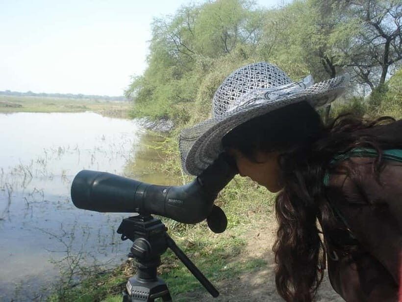 Keoladeo National Park Tickets and Guided Tour - The guided rickshaw experience: spotting birds, pythons, and sambar deer