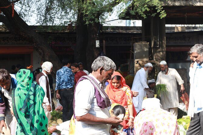Magical Walk of Jaipur - Why This Jaipur Walk Works: Major Sights Without the Traffic Headache