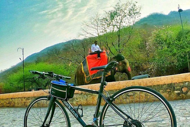 Nahargarh Cycle Tour in Jaipur - The Main Event: Climbing to Nahargarh Fort by Geared Bike