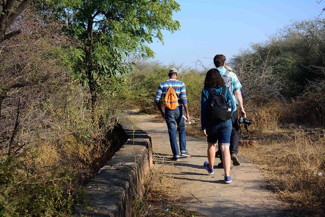 Nahargarh Water Walk - Guided 2-Hour Heritage Tour in Jaipur - A Two-Hour Circuit Around Nahargarh Fort (and How the Pace Feels)