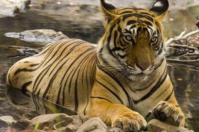 Private 4-Day Wildlife & Taj Mahal Tour from Jaipur to Delhi - Day 2: Bharatpur Bird Sanctuary and Mughal Stops to Agra
