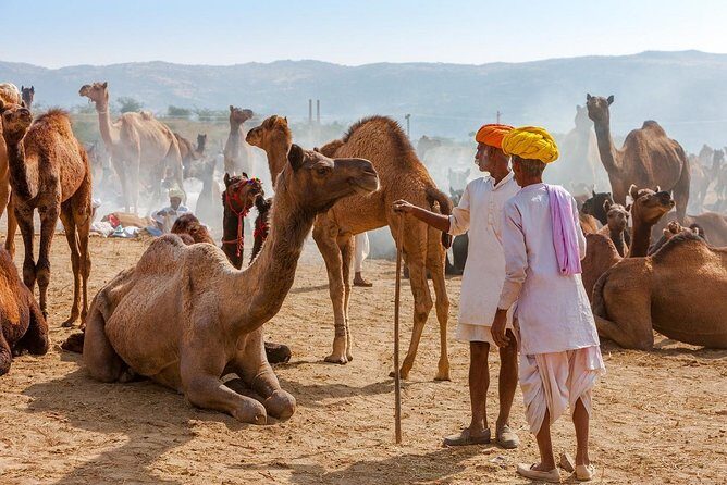 Private Day Trip to Ajmer and Pushkar from Jaipur - Brahma Temple: a rare stop for curious minds