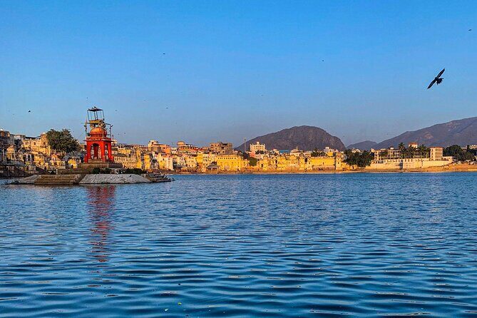 Private Day Trip to Pushkar From Jaipur - Pushkar Holy City in One Long Private Day