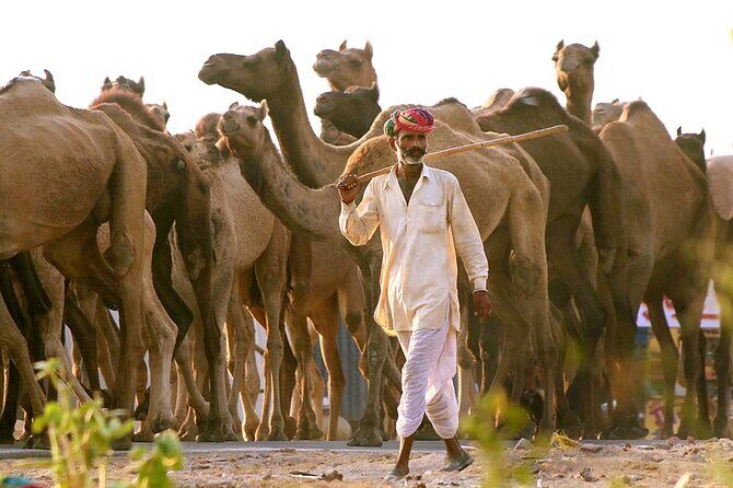 Private Day Trip to Pushkar From Jaipur - Pushkar Lake Ghats: Why Shoes Off Matters