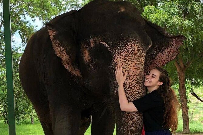 Private Elephant Sanctuary - Price and Value: Getting More Than A Ticket for $80