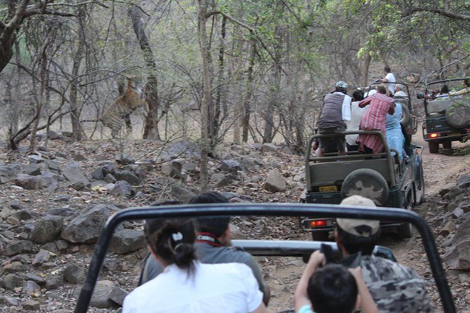 Private Full Day Trip to Ranthambore - The 180 km drive in an A/C private car