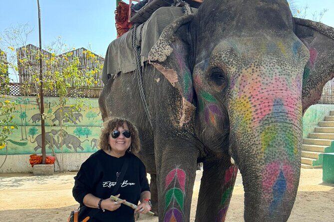 Private Jaipur Day Tour with Driver and Guide- All Inclusive - Quick hits before you go