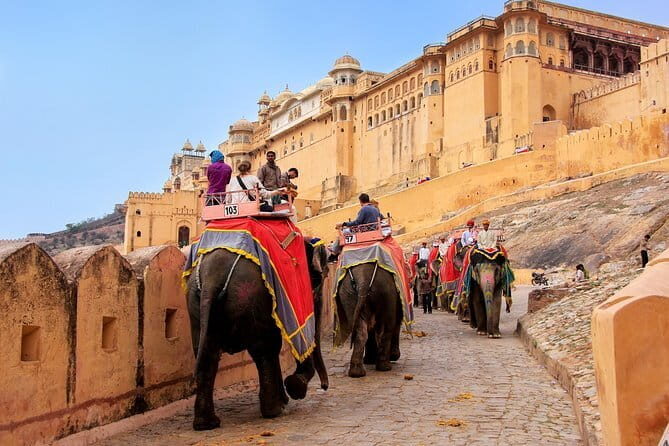 Private Overnight Jaipur City Tour from Delhi - Private Jaipur With Delhi Pickup: How the Setup Really Works