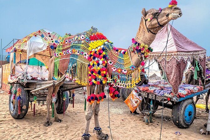 Private Same Day Trip to Pushkar from Jaipur - Price and What You Really Get for $32
