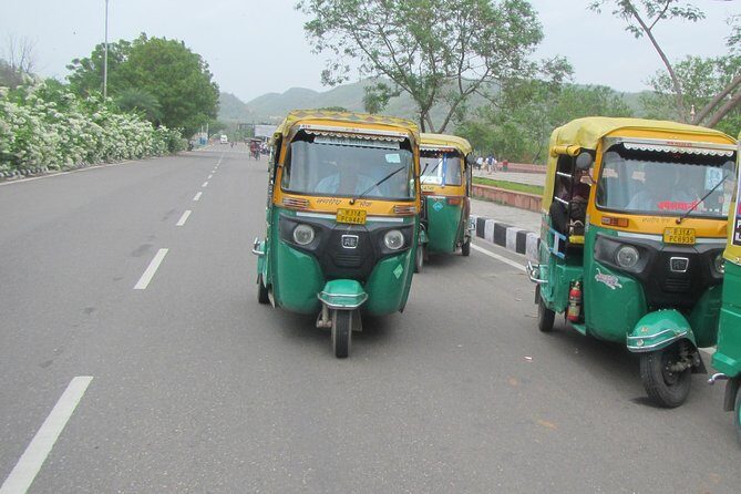 Private Tuk-Tuk Tour of Jaipur with Guide - What the guide adds (beyond names and dates)