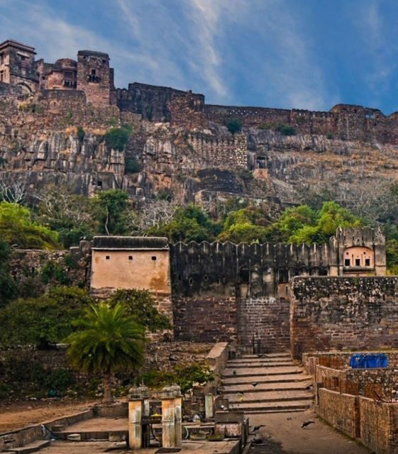 Ranthambore WildLife (tiger safari)Full Day Tour From Jaipur - Jaipur to Ranthambore: The Route, the Rhythm, and Why It Matters