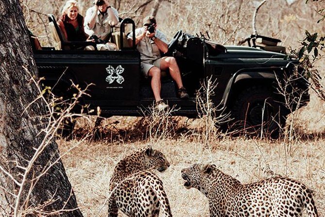 Safari In Jhalana Leopard Conservation Reserve, Jaipur - The jeep safari format: what “2 hours 45 minutes” looks like in real life