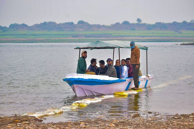 Two Night Safari Experience Ranthambore National Park &Transfers - Price and value: what $283.70 per person buys you