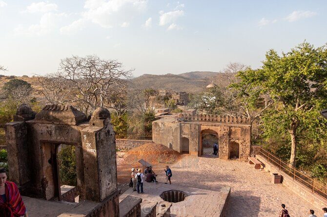 Two Night Safari Experience Ranthambore National Park &Transfers - Practical tips to make your safari days smoother