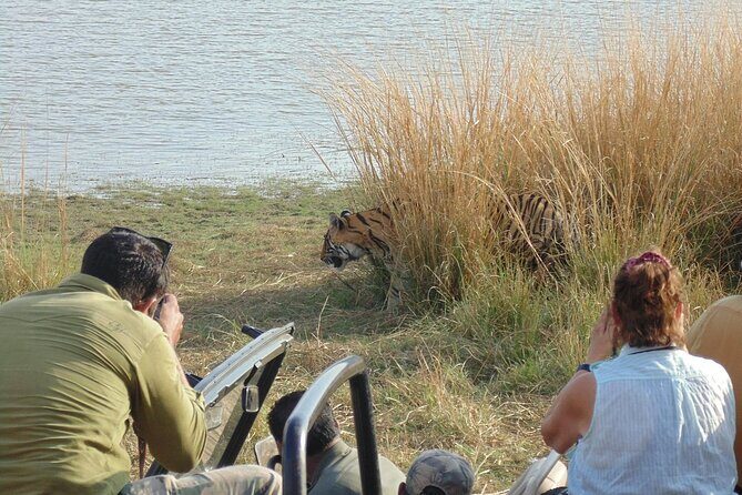 Two Night Safari Experience Ranthambore National Park &Transfers - Day 2: Morning and afternoon Ranthambore safaris in shared Gypsy or Cantar